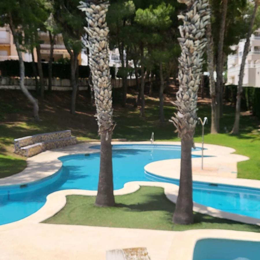 Apartamento Ines, Dehesa De Campoamor,900M From The Sea , Swimming Pool & Tennis Court Esterno foto